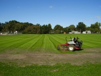 Soccer field first mowing, three weeks after seeding.